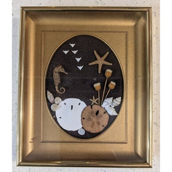 Sand Dollar Nautical Shell Art Betty Shepard Shadow Box Frame Seahorse & Starfis - Picture 7 of 11